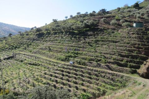 Cortijo i Competa, Malaga, Competa - € 450.000 | Ref: C3645 - foto 17