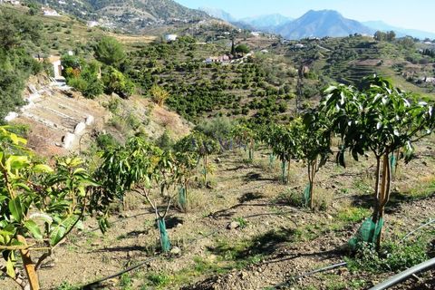Cortijo i Competa, Malaga, Competa - € 450.000 | Ref: C3645 - foto 19