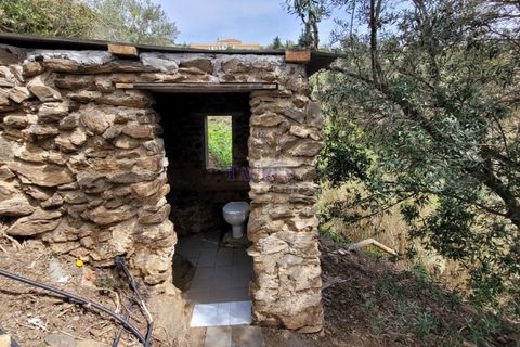 Villa a Sayalonga, Malaga, Sayalonga - € 299.000 | Ref: C3900 - foto 23