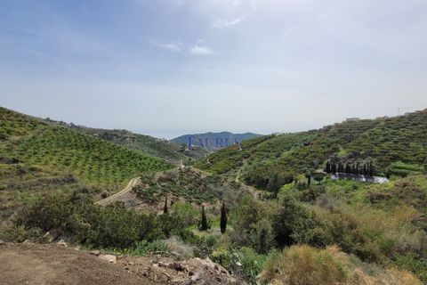 Villa a Sayalonga, Malaga, Sayalonga - € 299.000 | Ref: C3900 - foto 24