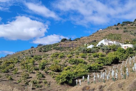 Cortijo i Competa, Malaga, Competa - € 262.500 | Ref: C3842 - foto 1