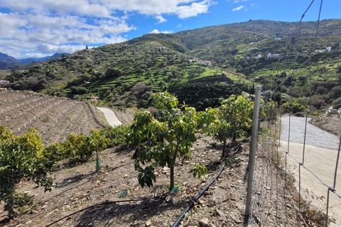 Cortijo i Competa, Malaga, Competa - € 262.500 | Ref: C3842 - foto 3