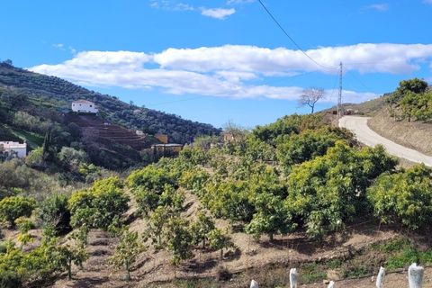 Cortijo i Competa, Malaga, Competa - € 262.500 | Ref: C3842 - foto 4