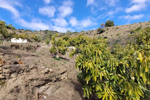 Cortijo i Competa, Malaga, Competa - € 262.500 | Ref: C3842 - foto 5