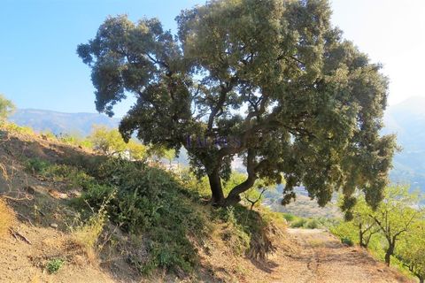 Villa i Archez, Malaga, Archez - € 260.000 | Ref: C3616 - foto 21