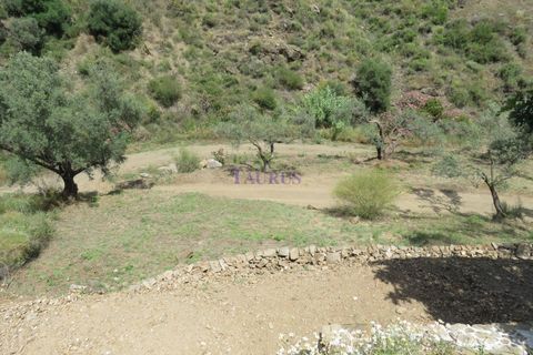Cortijo i Competa, Malaga, Competa - € 190.000 | Ref: C3768 - foto 13