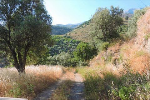 Cortijo i Sedella, Malaga, Sedella - € 160 000 | Ref: C3612 - foto 2