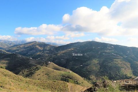 Helårsgrund i Sayalonga, Malaga, Sayalonga - € 90.000 | Ref: T536 - foto 6