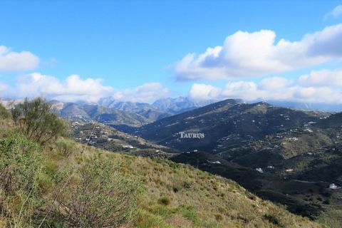 Helårsgrund i Sayalonga, Malaga, Sayalonga - € 90.000 | Ref: T536 - foto 8