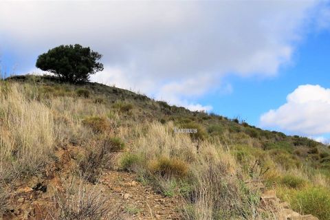 Helårsgrund i Sayalonga, Malaga, Sayalonga - € 90.000 | Ref: T536 - foto 9