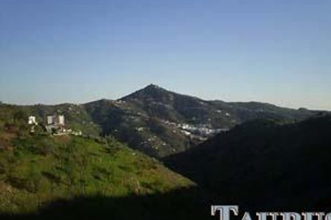 Cortijo i Sayalonga, Malaga, Sayalonga - € 105.000 | Ref: T484 - foto 2