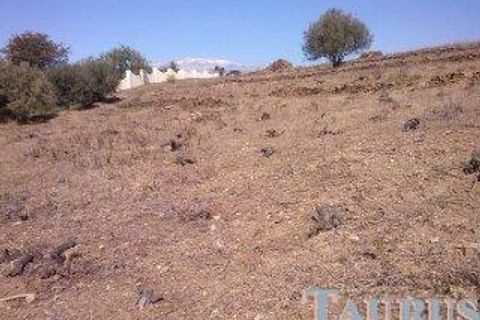 Helårsgrund i Sayalonga, Malaga, Sayalonga - € 40.000 | Ref: T936 - foto 2