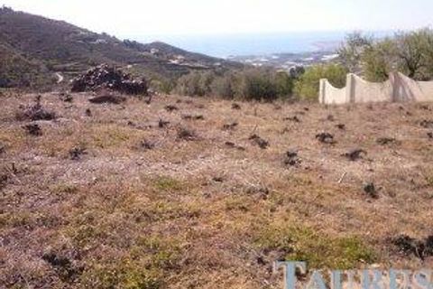 Helårsgrund i Sayalonga, Malaga, Sayalonga - € 40.000 | Ref: T936 - foto 3