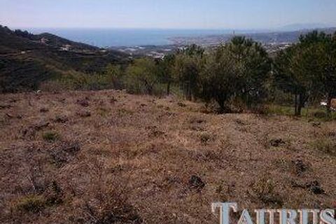 Helårsgrund i Sayalonga, Malaga, Sayalonga - € 40.000 | Ref: T936 - foto 4
