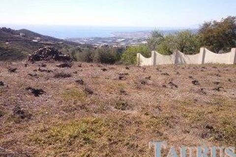 Helårsgrund i Sayalonga, Malaga, Sayalonga - € 40.000 | Ref: T936 - foto 7