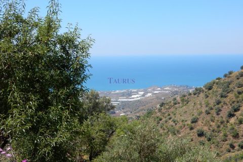 Helårsgrund i Sayalonga, Malaga, Sayalonga - € 41.500 | Ref: C3781 - foto 4