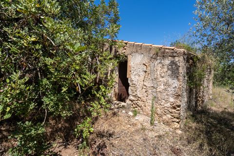 Finca i Roquetes, Tarragona, Roquetes - € 37.000 | Ref: 86 - foto 3