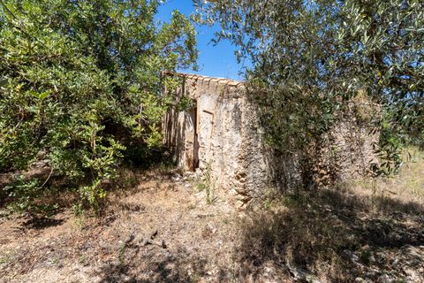 Finca i Roquetes, Tarragona, Roquetes - € 37.000 | Ref: 86 - foto 4