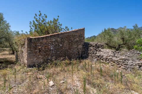 Finca i Roquetes, Tarragona, Roquetes - € 37.000 | Ref: 86 - foto 2