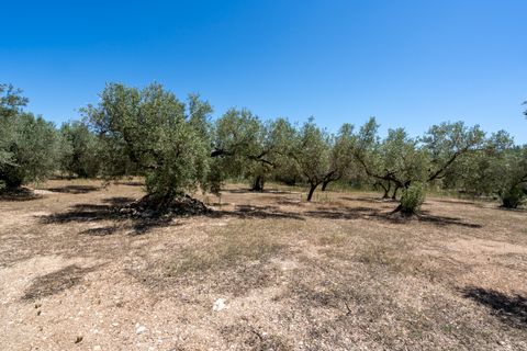 Finca i Roquetes, Tarragona, Roquetes - € 37.000 | Ref: 86 - foto 8
