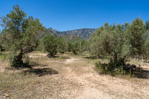 Finca i Roquetes, Tarragona, Roquetes - € 37.000 | Ref: 86 - foto 9