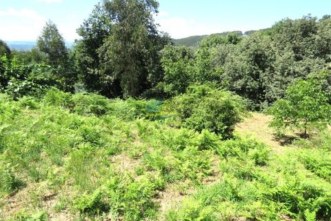 Villa i Espinhal, Coimbra, Espinhal - € 200.000 | Ref: ko2567 - foto 43