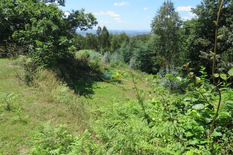 Villa i Espinhal, Coimbra, Espinhal - € 200.000 | Ref: ko2567 - foto 44