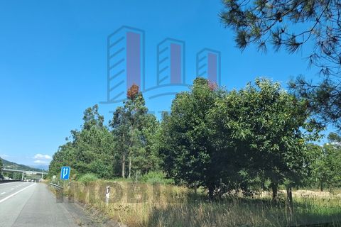 Helårsgrund i Ponte de Lima, Viana do Castelo, Ponte de Lima - € 34.500 | Ref: FM1054 - foto 4