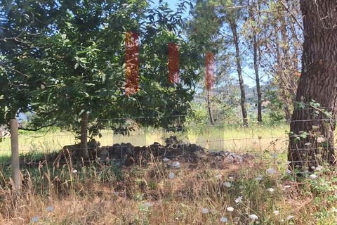 Helårsgrund i Ponte de Lima, Viana do Castelo, Ponte de Lima - € 34.500 | Ref: FM1054 - foto 5