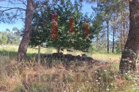 Helårsgrund i Ponte de Lima, Viana do Castelo, Ponte de Lima - € 34.500 | Ref: FM1054 - foto 6