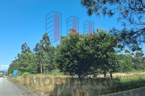 Helårsgrund i Ponte de Lima, Viana do Castelo, Ponte de Lima - € 34.500 | Ref: FM1054 - foto 7