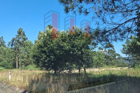 Helårsgrund i Ponte de Lima, Viana do Castelo, Ponte de Lima - € 34.500 | Ref: FM1054 - foto 8