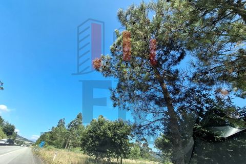 Helårsgrund i Ponte de Lima, Viana do Castelo, Ponte de Lima - € 34.500 | Ref: FM1054 - foto 1