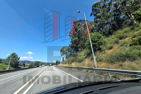 Helårsgrund i Ponte de Lima, Viana do Castelo, Ponte de Lima - € 34.500 | Ref: FM1054 - foto 9