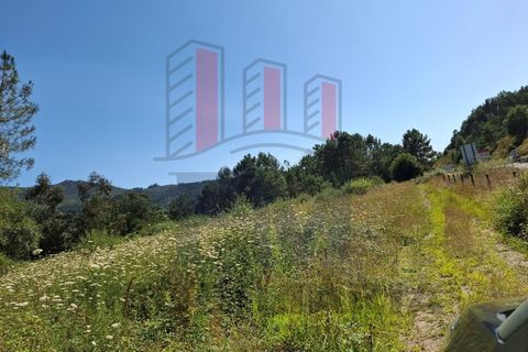 Helårsgrund i Ponte de Lima, Viana do Castelo, Ponte de Lima - € 34.500 | Ref: FM1054 - foto 10