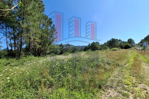 Helårsgrund i Ponte de Lima, Viana do Castelo, Ponte de Lima - € 34.500 | Ref: FM1054 - foto 11