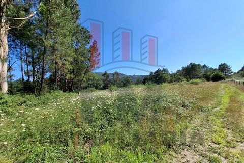 Helårsgrund i Ponte de Lima, Viana do Castelo, Ponte de Lima - € 34.500 | Ref: FM1054 - foto 12