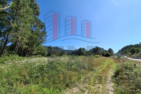 Helårsgrund i Ponte de Lima, Viana do Castelo, Ponte de Lima - € 34.500 | Ref: FM1054 - foto 13