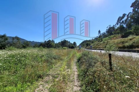 Helårsgrund i Ponte de Lima, Viana do Castelo, Ponte de Lima - € 34.500 | Ref: FM1054 - foto 14