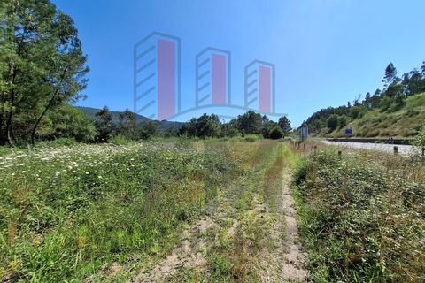 Helårsgrund i Ponte de Lima, Viana do Castelo, Ponte de Lima - € 34.500 | Ref: FM1054 - foto 15