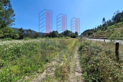 Helårsgrund i Ponte de Lima, Viana do Castelo, Ponte de Lima - € 34.500 | Ref: FM1054 - foto 16