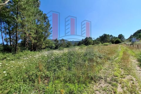 Helårsgrund i Ponte de Lima, Viana do Castelo, Ponte de Lima - € 34.500 | Ref: FM1054 - foto 17