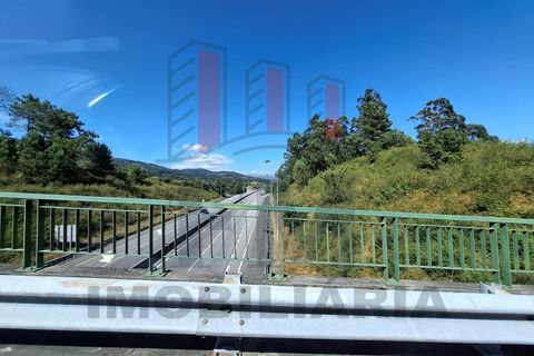 Helårsgrund i Ponte de Lima, Viana do Castelo, Ponte de Lima - € 34.500 | Ref: FM1054 - foto 18