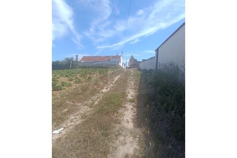 Helårsgrund i Mafra, Lisbon, Mafra - € 94.500 | Ref: ADV_305 - foto 9
