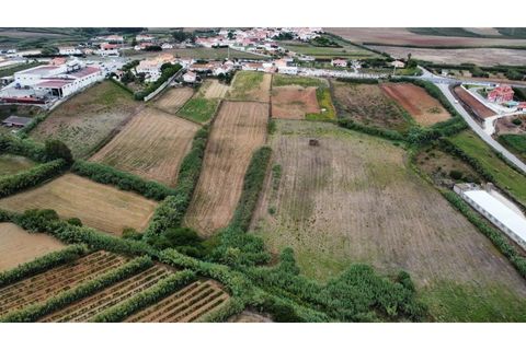 Helårsgrund i Mafra, Lisbon, Mafra - € 94.500 | Ref: ADV_305 - foto 3