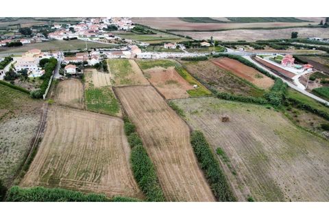 Helårsgrund i Mafra, Lisbon, Mafra - € 94.500 | Ref: ADV_305 - foto 4