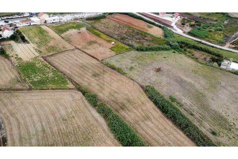 Helårsgrund i Mafra, Lisbon, Mafra - € 94.500 | Ref: ADV_305 - foto 5
