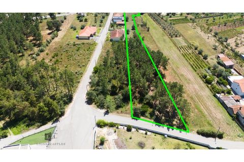 Helårsgrund i Pombal, Leiria, Pombal - € 48.000 | Ref: 707/2024 - foto 2
