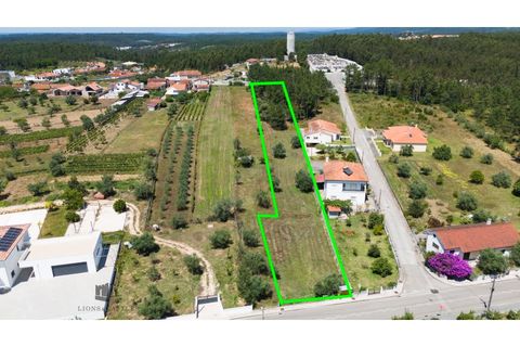 Helårsgrund i Pombal, Leiria, Pombal - € 48.000 | Ref: 707/2024 - foto 3