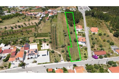 Helårsgrund i Pombal, Leiria, Pombal - € 48.000 | Ref: 707/2024 - foto 4